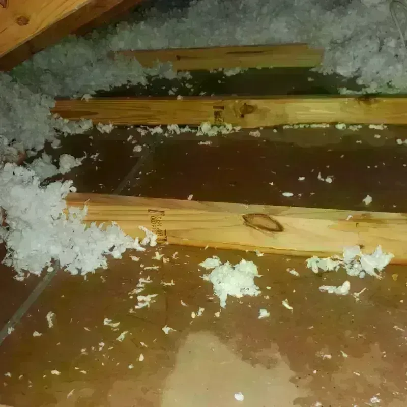 Attic Water Damage in Crystal Lake, IL