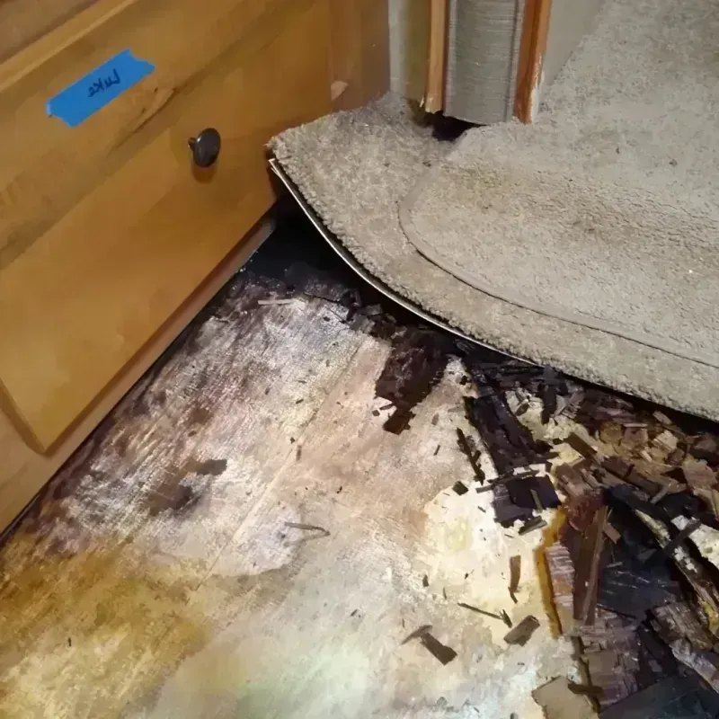 Wood Floor Water Damage in Crystal Lake, IL